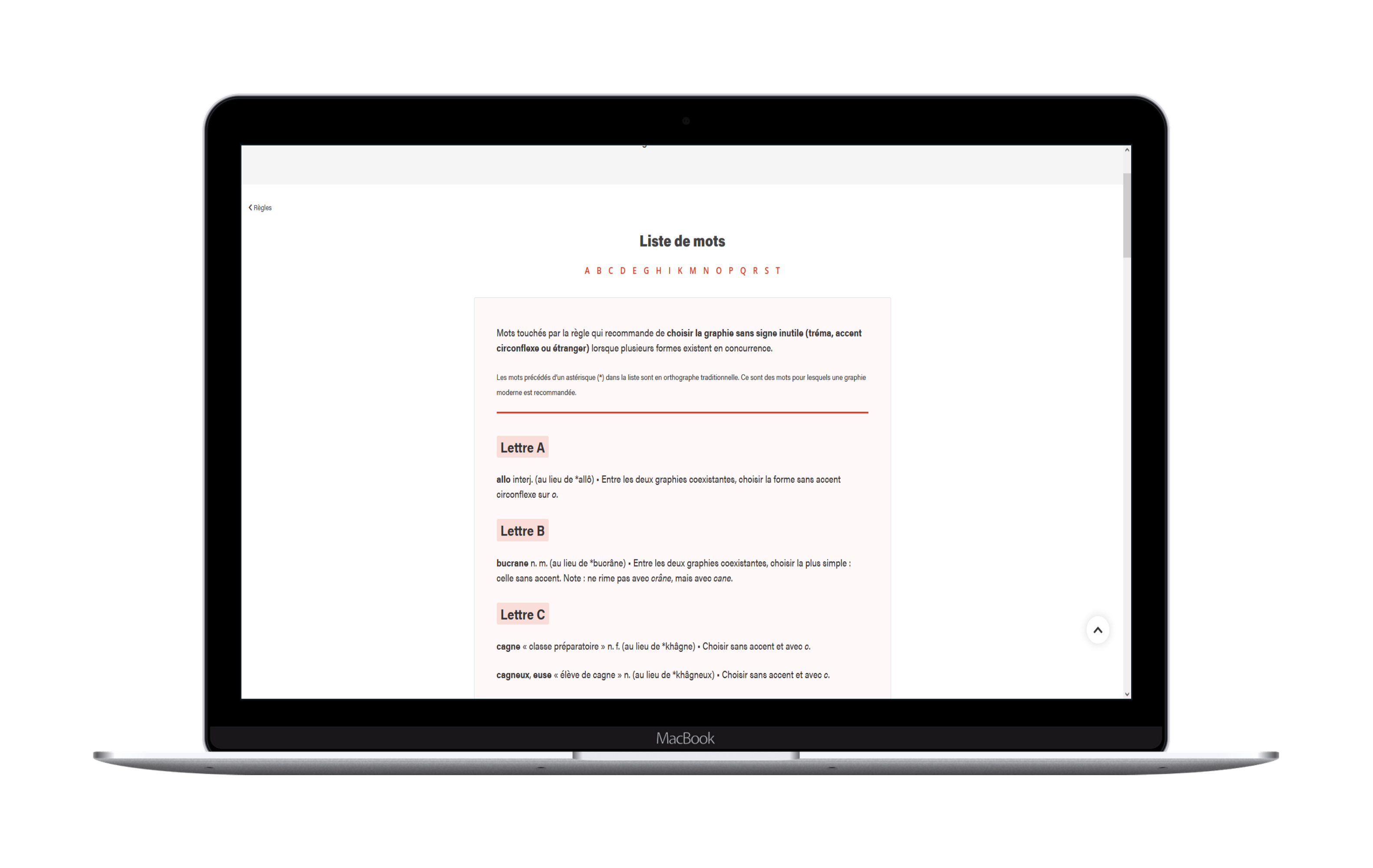 CCDMD_liste_mots_systeme-web-sur-mesure-laravel-php-developpeur